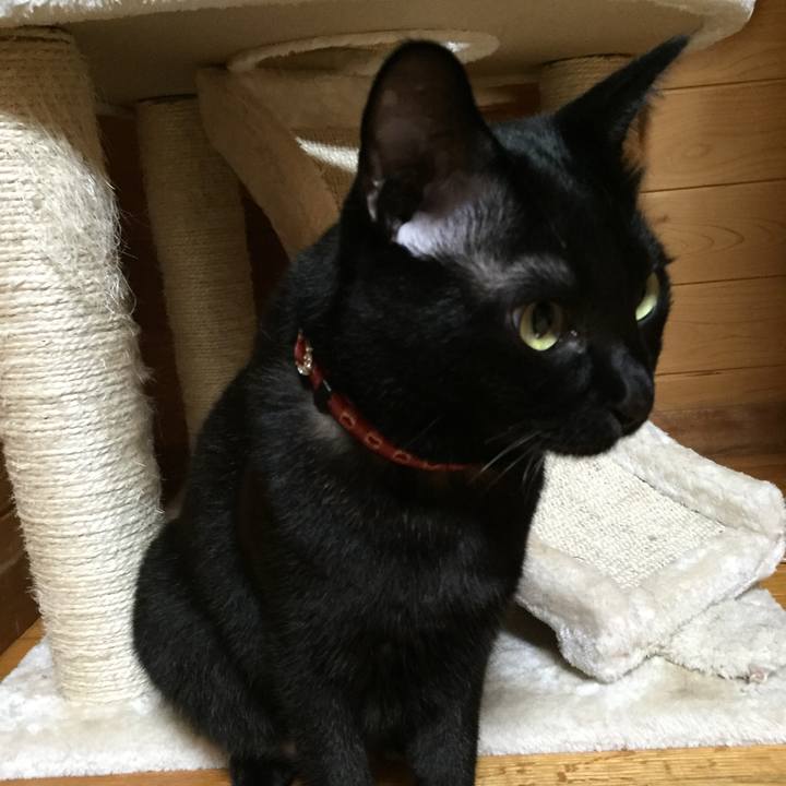 35020748 7520 47ea 8af6 115f76c4d737