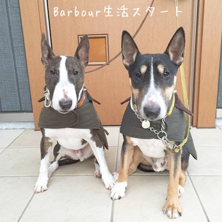 35027e67 c995 4f04 ba3e 9808870869a5