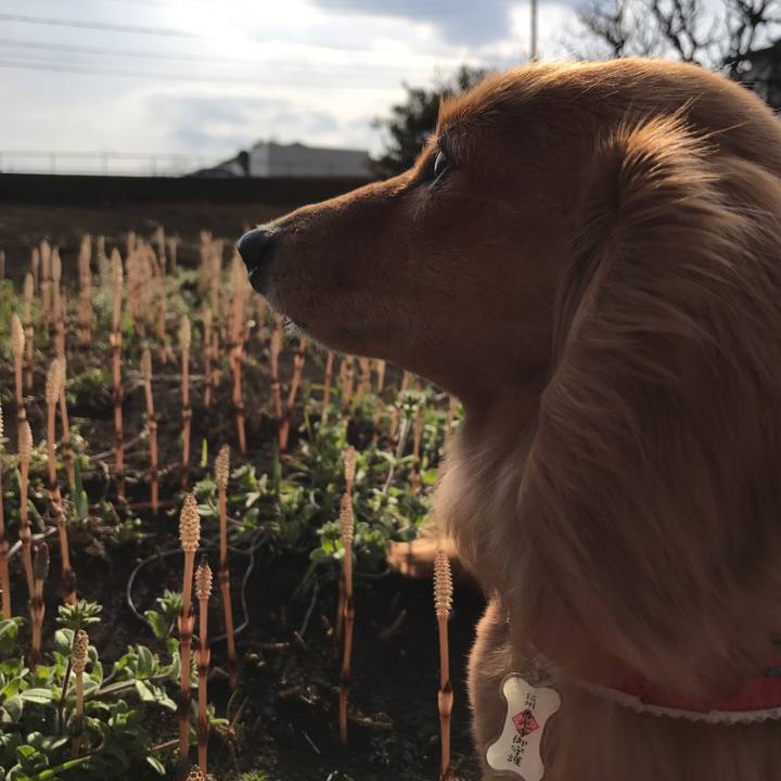 35028704 6762 4ce4 b891 2d92abc4d20d