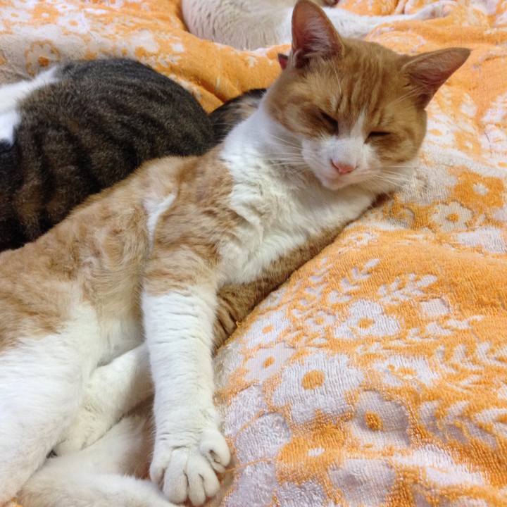 3502b455 0927 4a13 adea 0a596c614e32