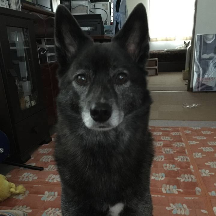 35037d4b 6908 480f bfd9 40e156d71609