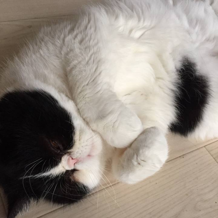 35038185 e2a7 4338 b959 67f6241adb0e