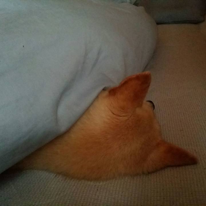 3503e0e2 4b67 4f63 af50 70bb2b2a805f