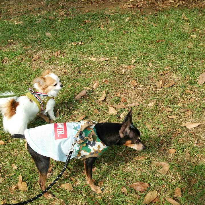 35042299 03c2 4d9f a976 e56333906570