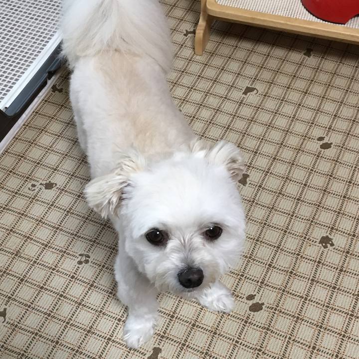 35047e92 513d 4596 aa76 168a2f1535e5