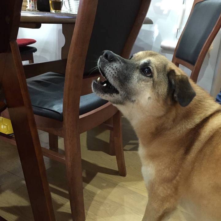 3504a0a2 297f 4212 8666 792fb5846092