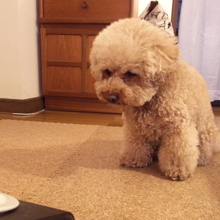 3504c71b b105 424b 8845 32daf201c994