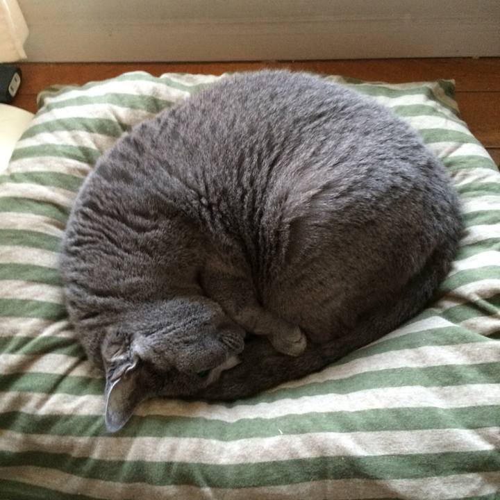 3505f839 c0a9 4e77 b25b 892147199fd5