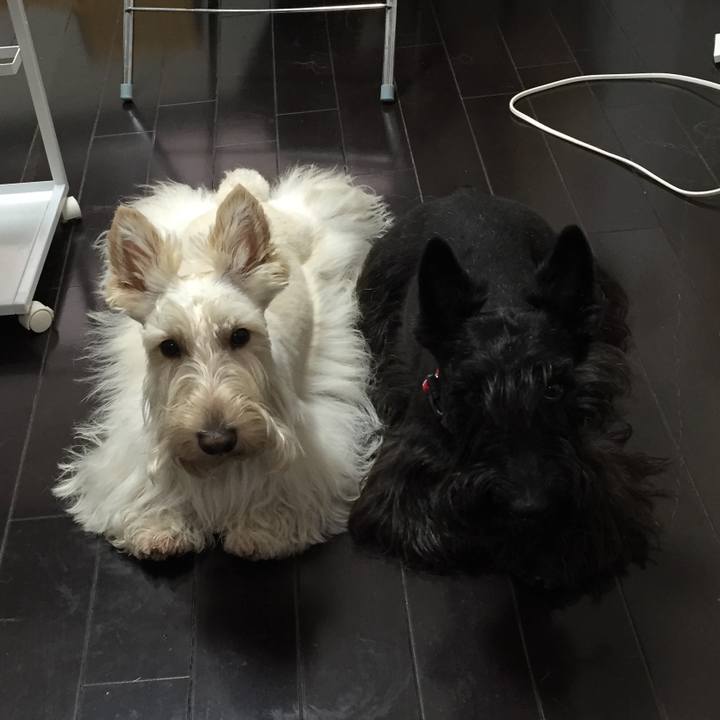 35070f0e b59c 4401 89ed 7cceddb1d410