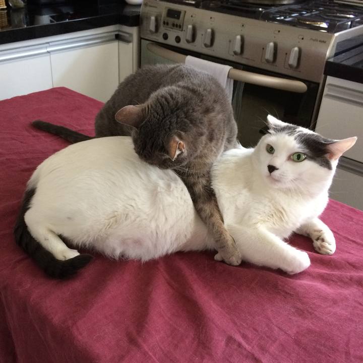 35071664 667f 46b6 a0df 92f98f9fb2b4