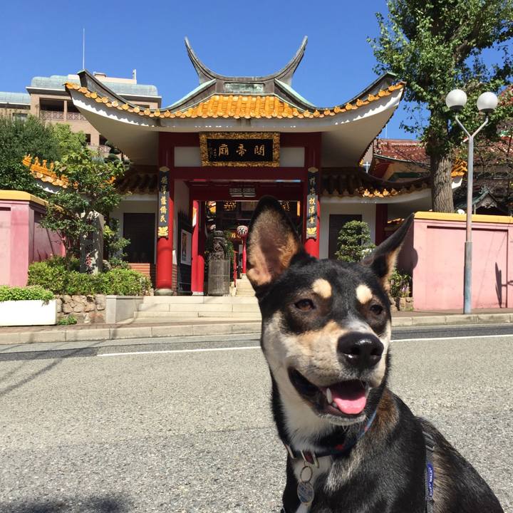 3507203c f8cd 4c57 a5bf dedca4cc269a