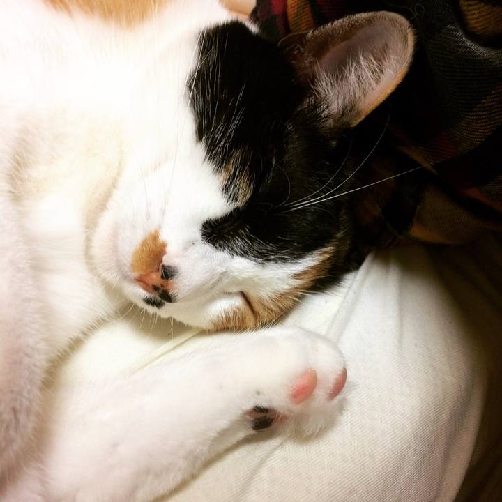 3507fe48 f08b 4e18 9e54 cec4ee0f67a8