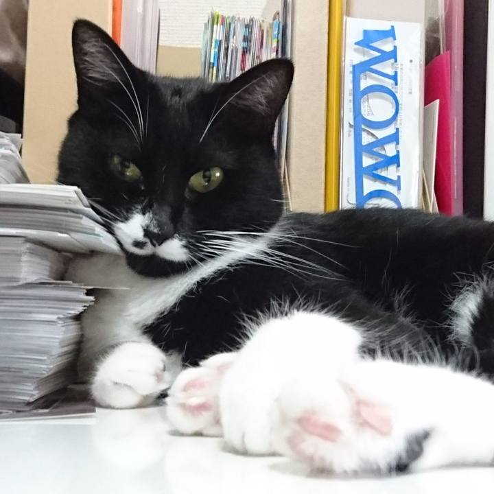 35080a8c 097a 4704 8ba7 014104dbc3b7