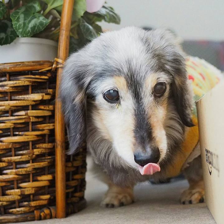 35083e5b 8641 45b3 8160 6269d0a2bb8f