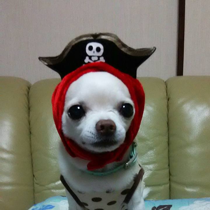 35090e38 934d 4366 8dfc 5a3497649df7