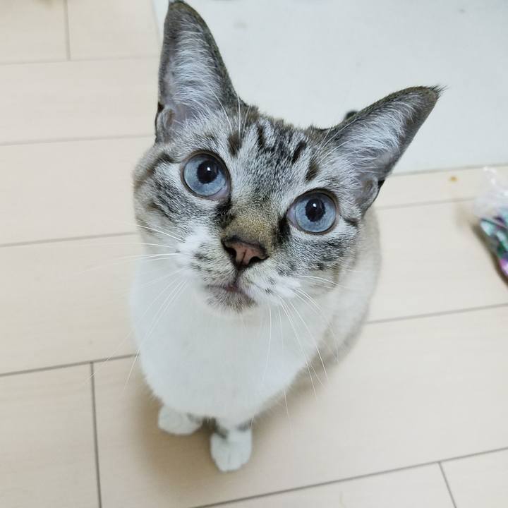 35093f01 3dde 4540 adb4 f77028d013bd