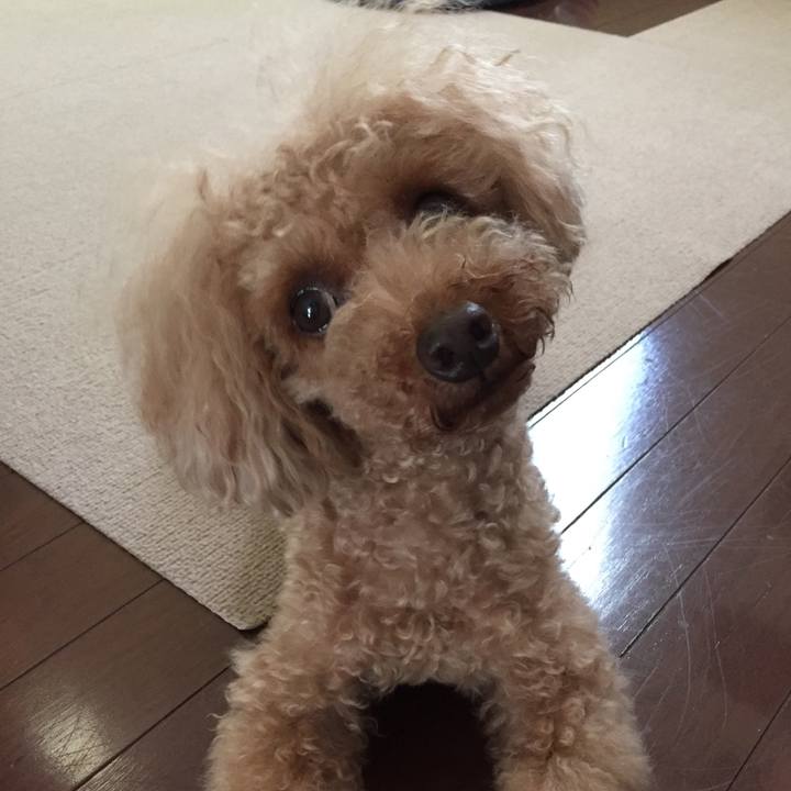 3509b77a 1b2f 4621 8e52 97a1156e6bdc