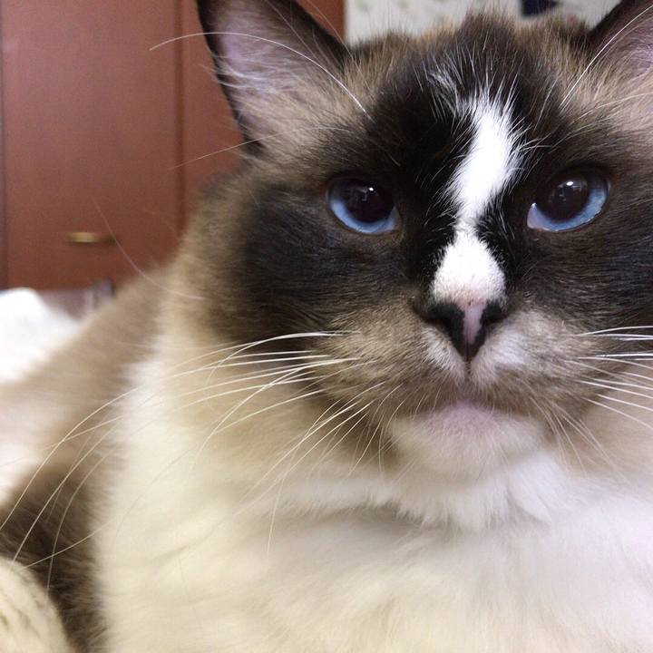 3509ea72 2d0d 4a01 b2e3 499777be150b