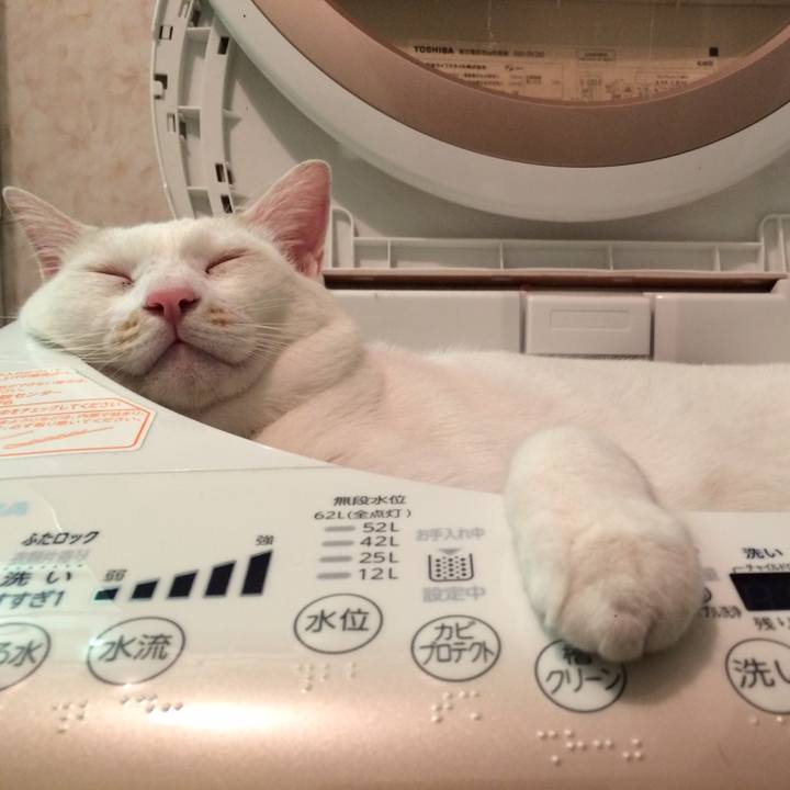 350a0666 aa96 4d95 af6e 383e1acf8d5f