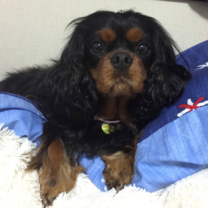 350a4d0f 4075 431c bee5 f05f60234231