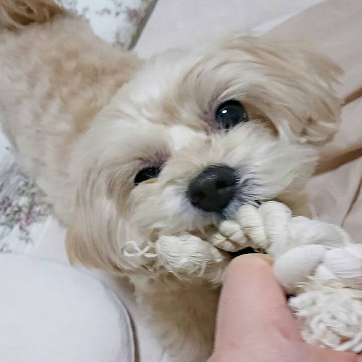 350c26fa 9338 4830 bfbf ff8e7735429a