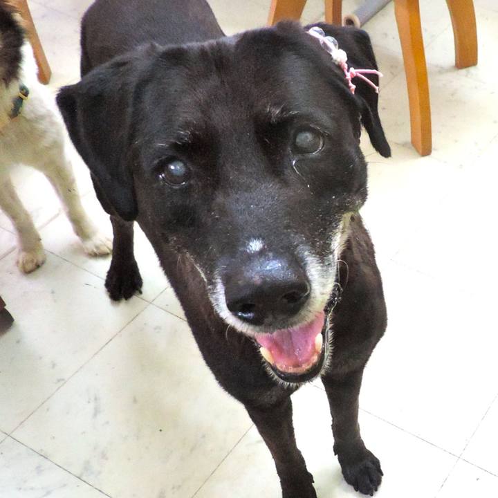 350c3501 21f6 4798 abe8 57f85c9305dd