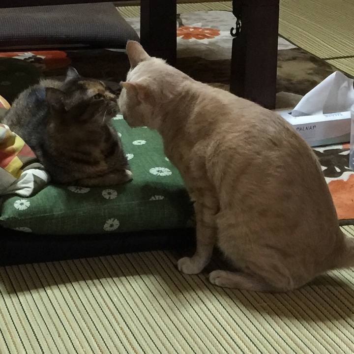 350c43b8 111c 47f8 a779 182d42645273