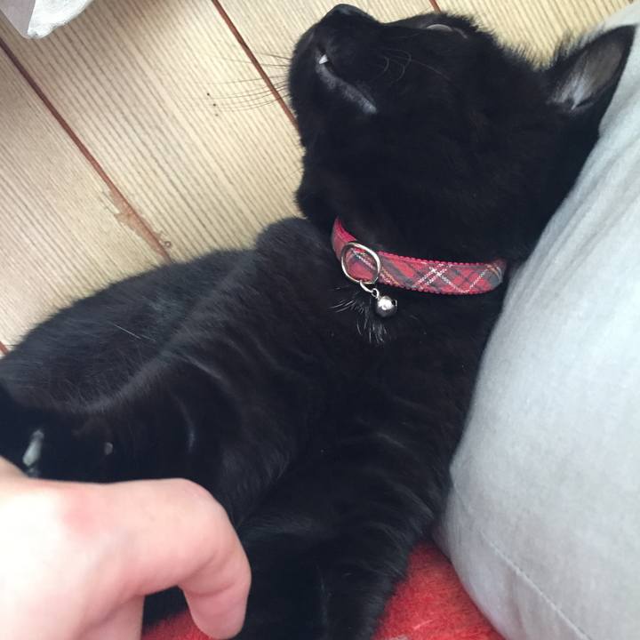 350c6ff9 4028 4d49 8e2c 1a80dcb2f81f