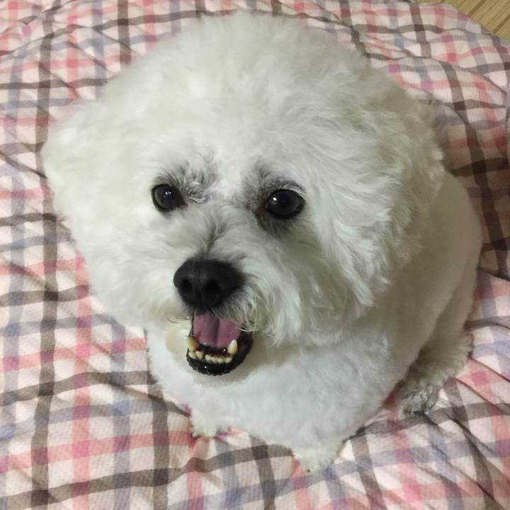 350c73c4 cef0 4076 acfd e34a0b80acc2