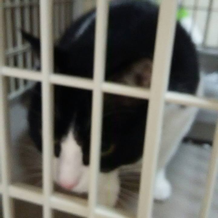 350d29d7 66f6 4e1e b61c 5e71b3f50e0b