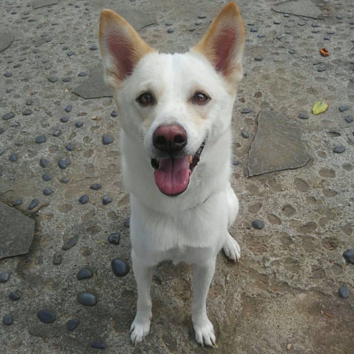 350d4063 eb22 49ee 8e84 8c79587be885