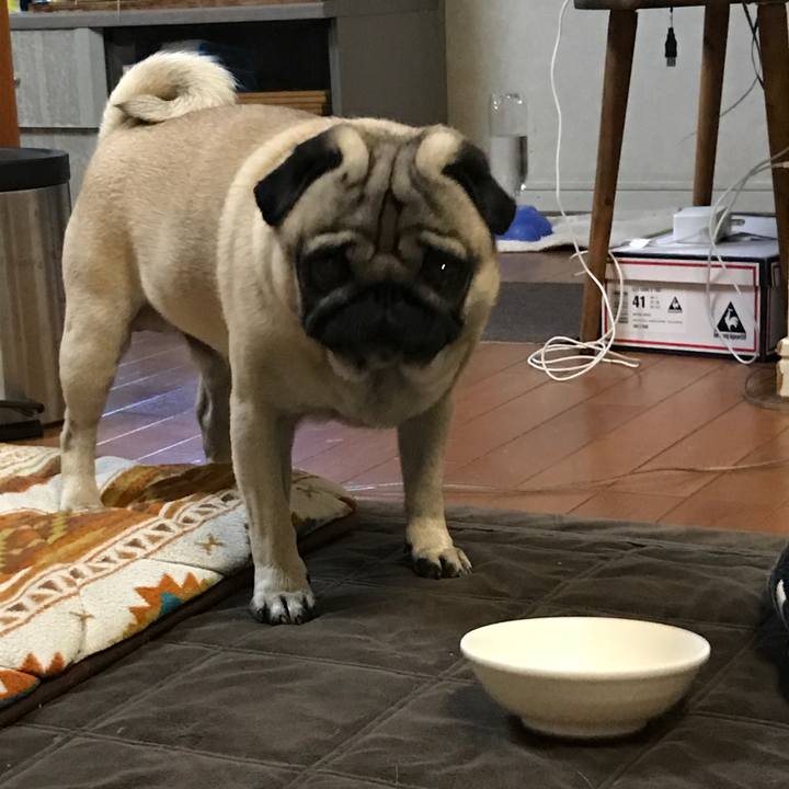 350d9e1c f384 462b 8c8b c290a278b727