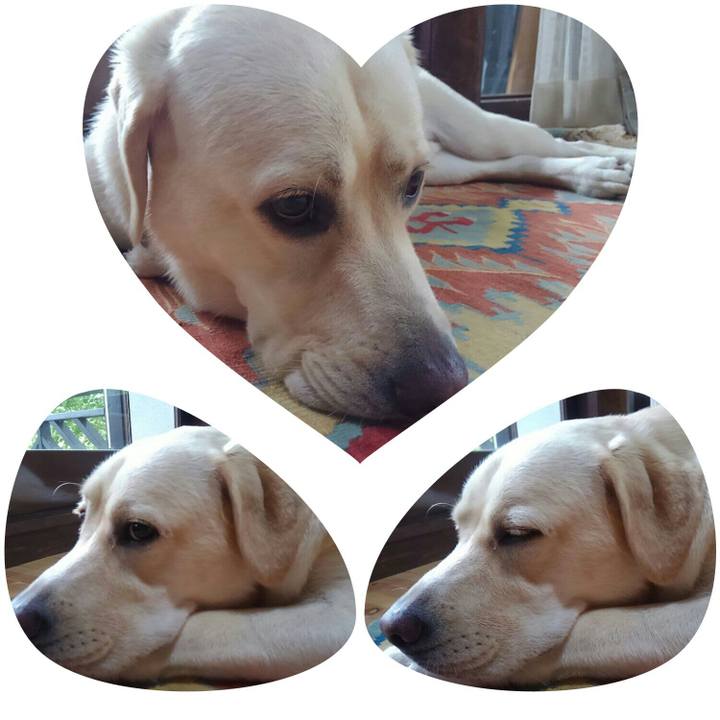 350defe1 e014 406d ac77 3ea9c53ce3b6