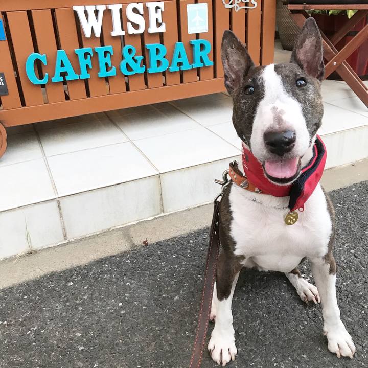 350df5f4 9b74 4522 8d12 b50ab55caa80