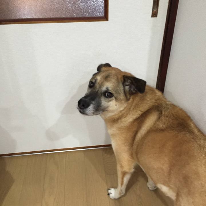 350f9c89 cffe 4631 8355 d210ccb5ac85