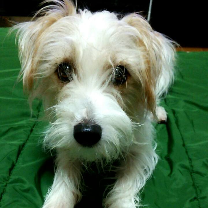 350fdc35 bea9 4a18 a733 2344d7e7f19d