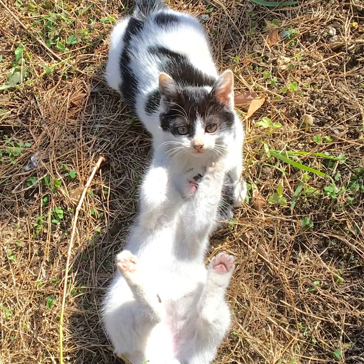 3510147d 085b 4da3 bca8 97b13a306569