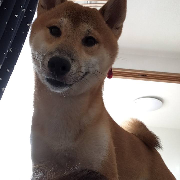 35103e8b 97bb 497f bb5d 096df161a53f