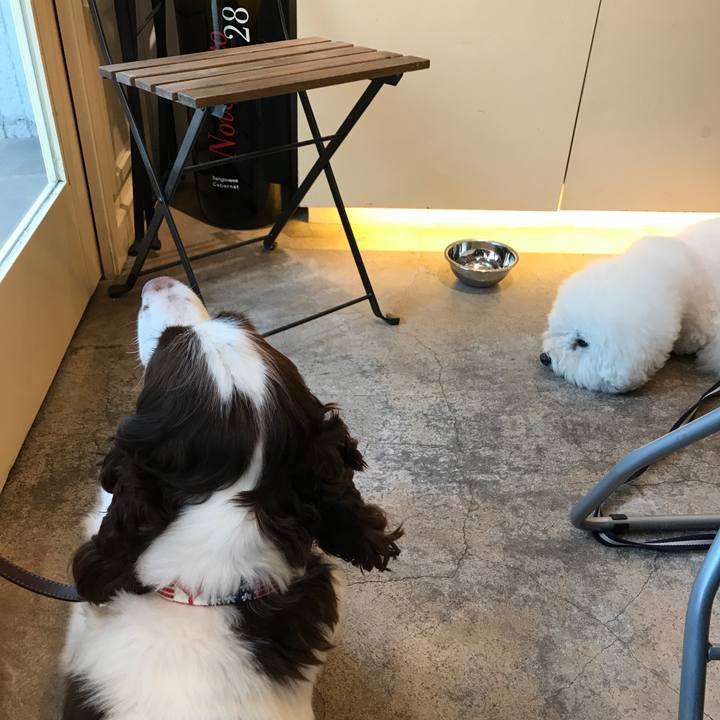 351091f3 ce03 4acb ab77 2896edb2c3ed