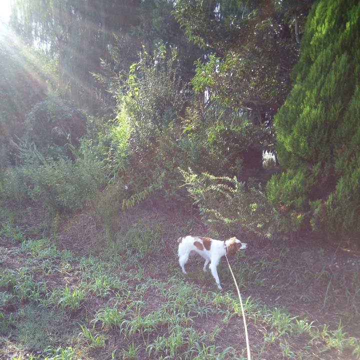 35109d71 66ff 4ef2 9c41 3e2fed792e4a