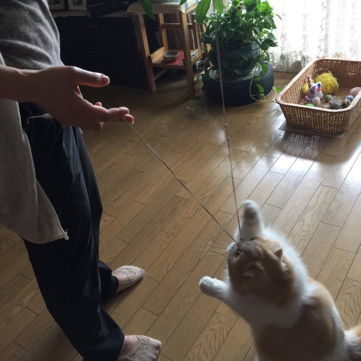 35110534 5a8e 4450 bc23 a47f2b110a59