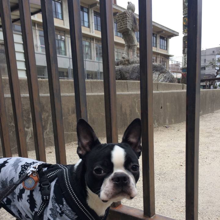 35116ef8 fcce 4ba8 b7f8 e7042947f4a4