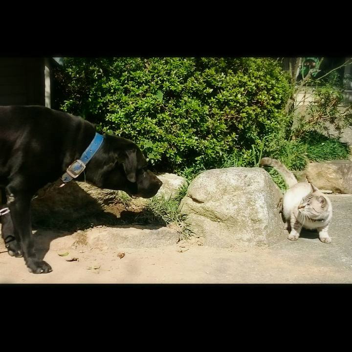 3511e9aa 4909 46ad 88c4 aa1638057d46