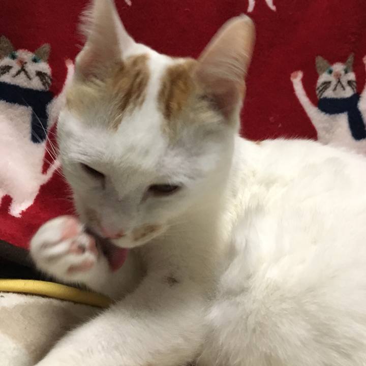 35123589 ad50 42f8 98b9 7c2461784f1b