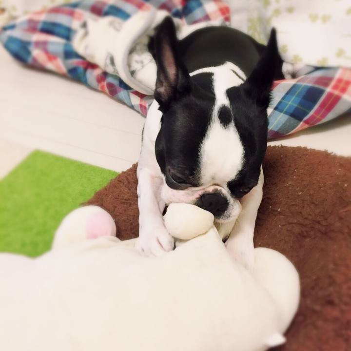 3512a7d1 12ea 4eaf b643 a6e550838742