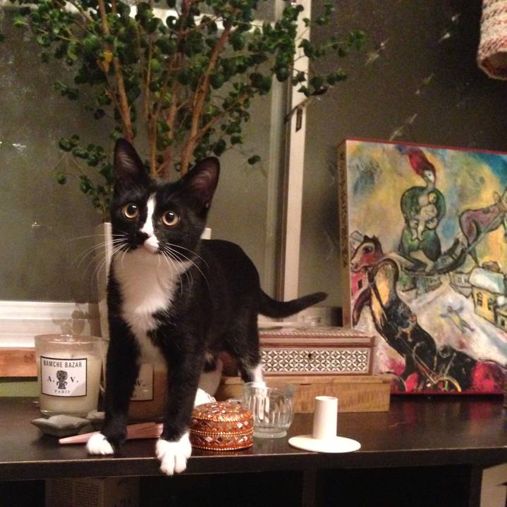 3512ea9b f0ac 4793 83a0 56efa7c0bd39