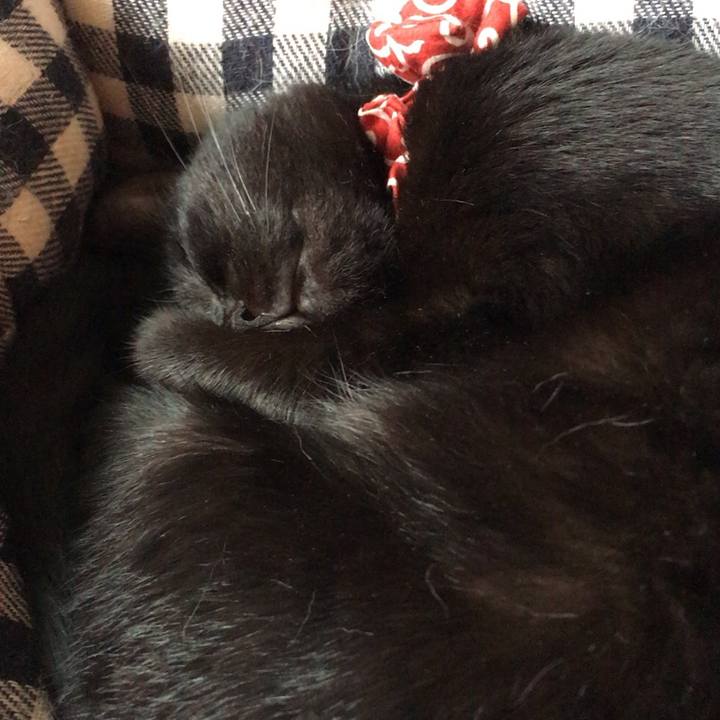 3512ec7e 28e4 48d7 b410 fbc71c9d8884