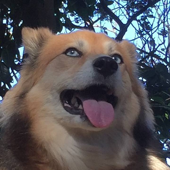 35132fe3 b22e 4312 b483 6dba3f3449ef