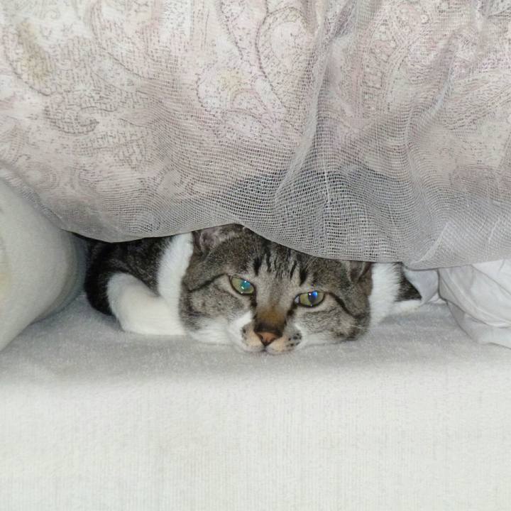 3513b839 5860 4269 b70f 219cbca73958