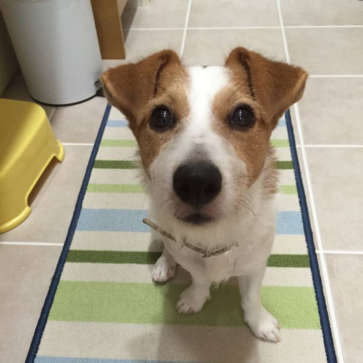 35140bc2 77dc 40e7 8e9e 559b0bb217cd